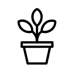 Potted Plant