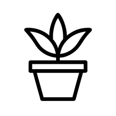Potted Plant