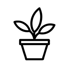 Potted Plant