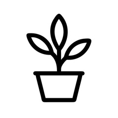 Potted Plant