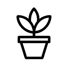 Potted Plant