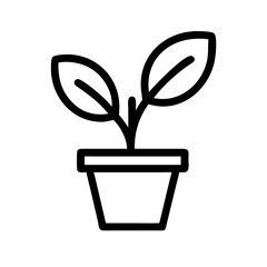 Potted Plant