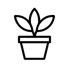 Potted Plant