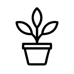 Potted Plant