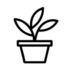 Potted Plant