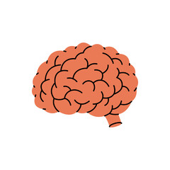Brain. Human internal organ. Vector illustration.