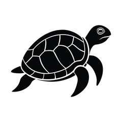 turtle vector illustration