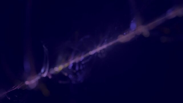 Leuchtende violette filigrane Lichtfasern &ndash; dynamische Wissenschafts- und Technologie-Visualisierung zu Datentransfer und moderner Kommunikation, Nebel, Forschung

