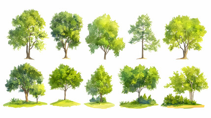 Fototapeta premium Realistic Tree Collection with Various Greenery and Wood Elements