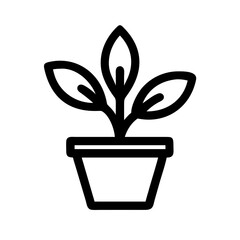Potted Plant
