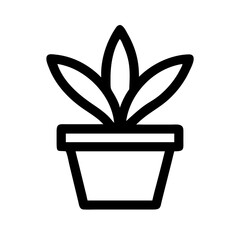 Potted Plant