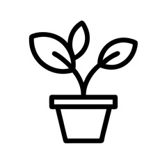 Potted Plant