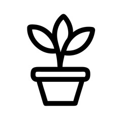 Potted Plant