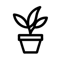 Potted Plant