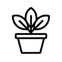 Potted Plant