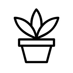 Potted Plant