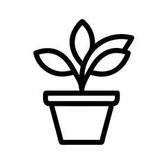 Potted Plant