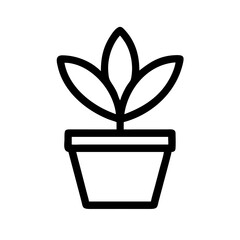 Potted Plant
