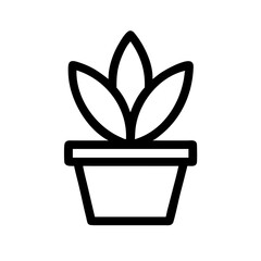 Potted Plant