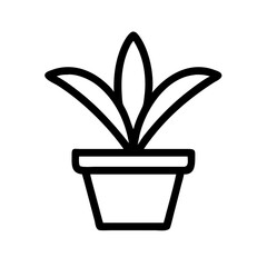 Potted Plant