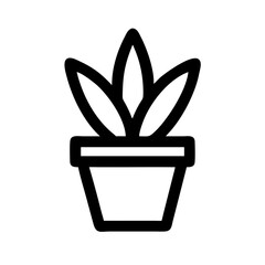 Potted Plant