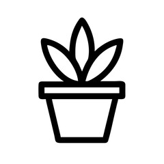 Potted Plant