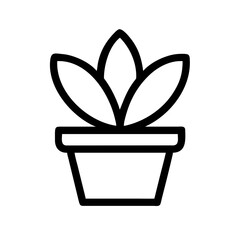 Potted Plant