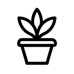 Potted Plant