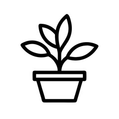 Potted Plant
