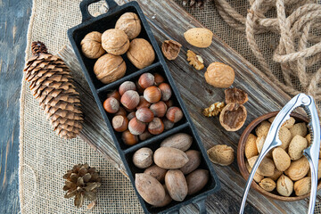 variety of nuts in a metal and wooden bowl - cashews, walnuts, Brazil nuts, hazelnuts. Top view.