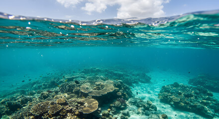 Fototapeta premium Underwater spectacle sunbeams illuminate thriving coral reef ecosystem vibrant colors