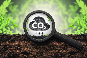 Magnifying glass on soil shows CO2 cloud absorbing into ground, symbolizing carbon sequestration and environmental sustainability