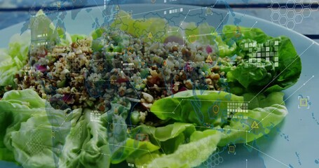 Quinoa salad with lettuce overlaid with digital data processing animation - Powered by Adobe