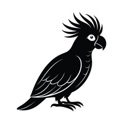 Black and white parrot flying on a branch, vector illustration of a bird with wings and feathers in a natural, wildlife style