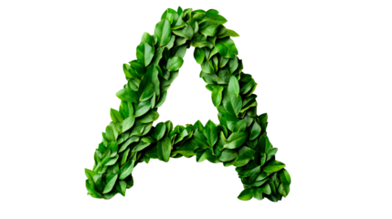 Green letter A, made of leaves, eco style, ecology, isolated, cut out transparent