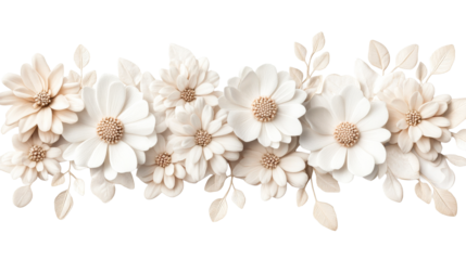 Cream flower arrangement, blossom background, elegant design, petals, cut out transparent