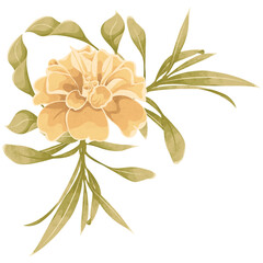 Elegant Watercolor Floral Clipart Frames 