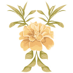 Elegant Watercolor Floral Clipart Frames 