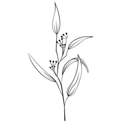 Decorative Floral Leaf Illustration