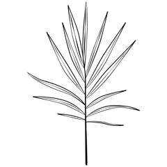 Decorative Floral Leaf Illustration