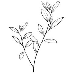 Decorative Floral Leaf Illustration