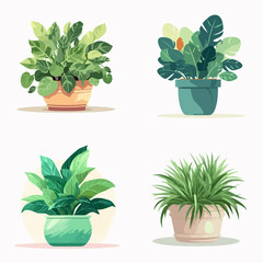Obraz premium Four potted plants of different sizes and shapes are shown in a row
