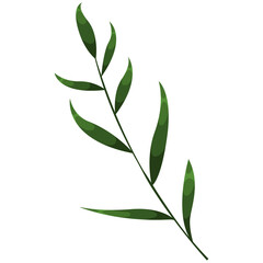 Decorative Floral Leaf Illustration