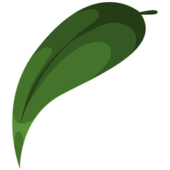 Decorative Floral Leaf Illustration