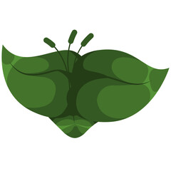 Decorative Floral Leaf Illustration