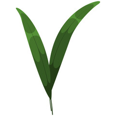 Decorative Floral Leaf Illustration