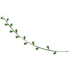 Decorative Floral Leaf Illustration