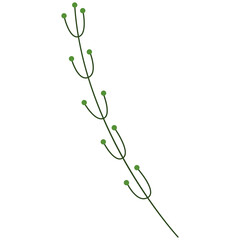Decorative Floral Leaf Illustration