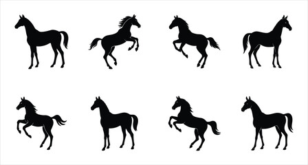 A set of eight Akhal teke horse vector silhouette designs. Simple collection. Isolated bundle on white background.