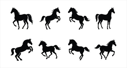 A set of Eight Arabian horse vector silhouette designs. Simple collection. Isolated bundle on white background.